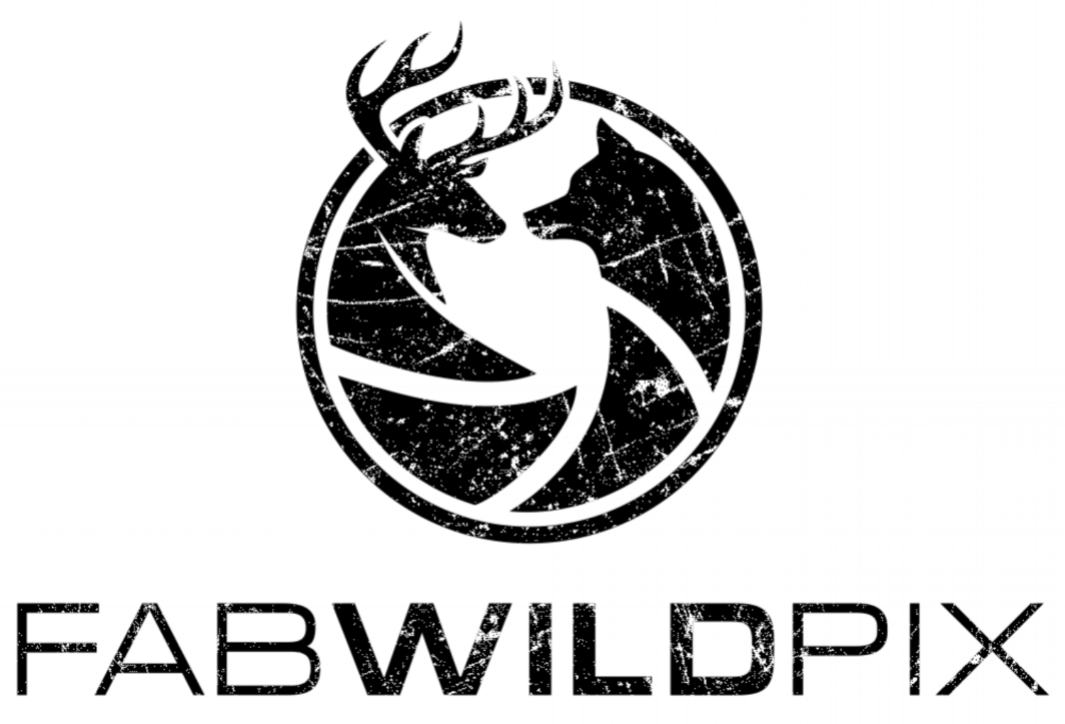 Logo Fabwildpix